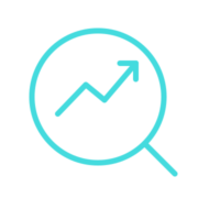 fairysolution seo